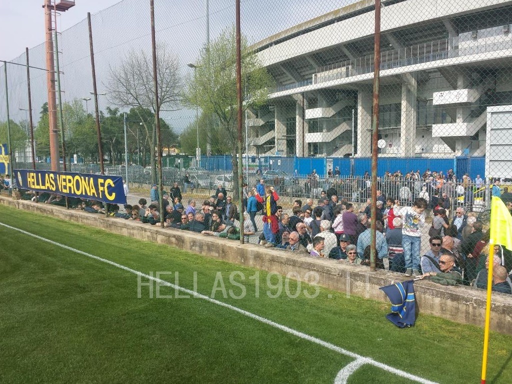 antistadioall.jpg