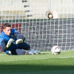 gollini4.jpg
