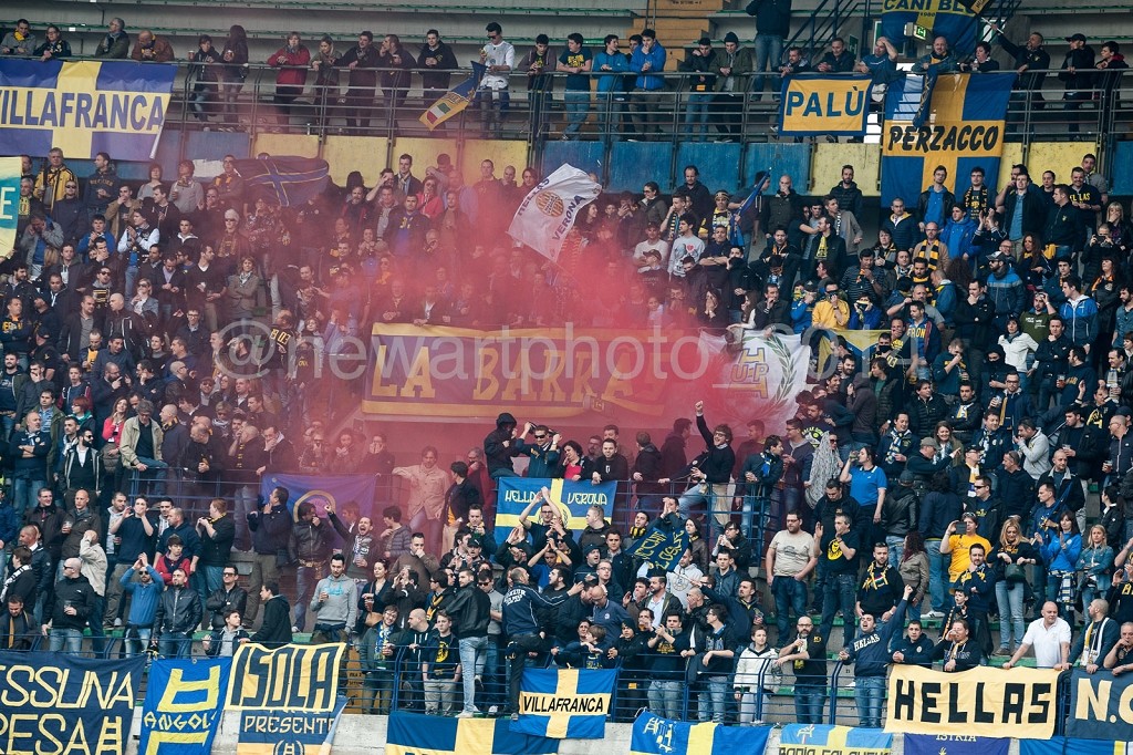 DSC_8995.jpg