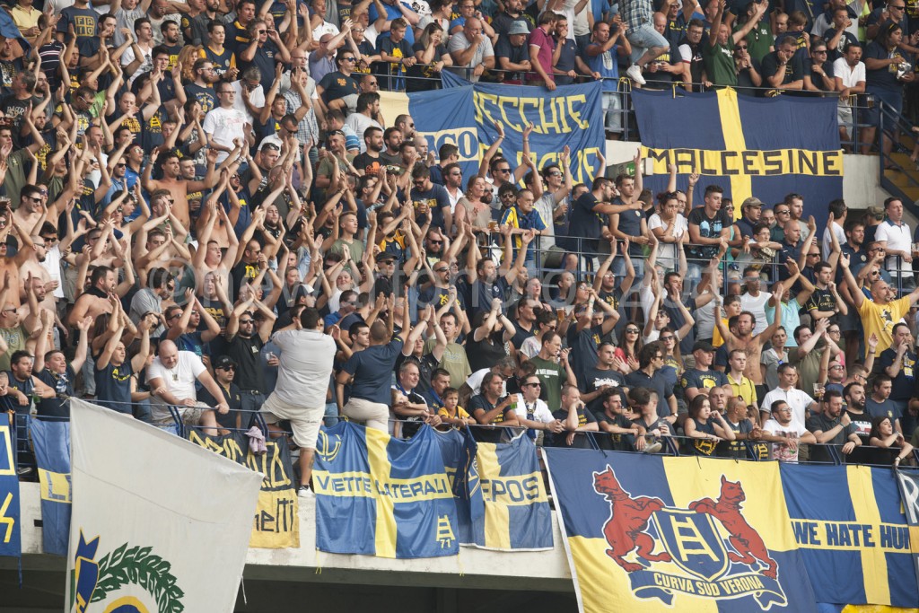 curva canta
