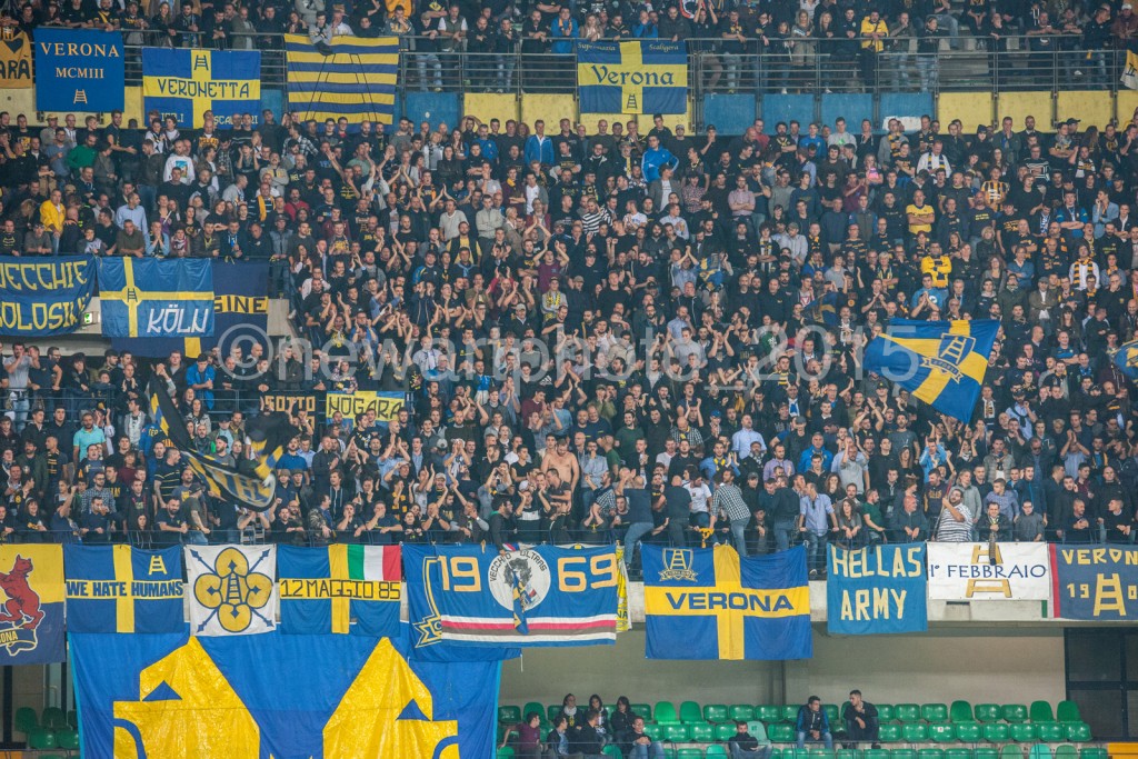 curva sera