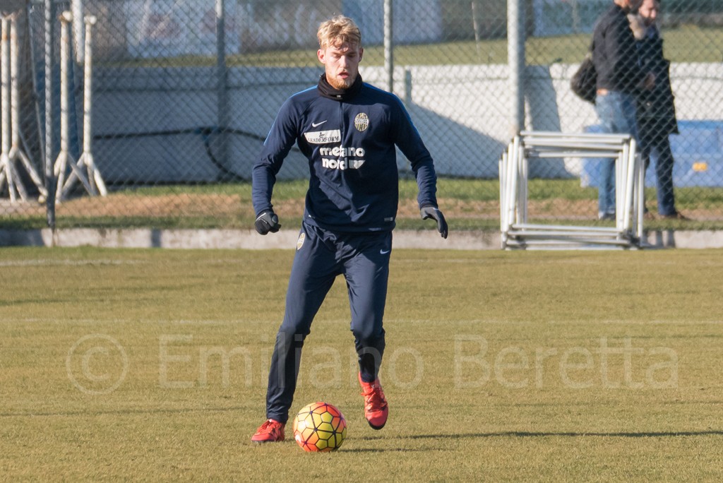 helander2