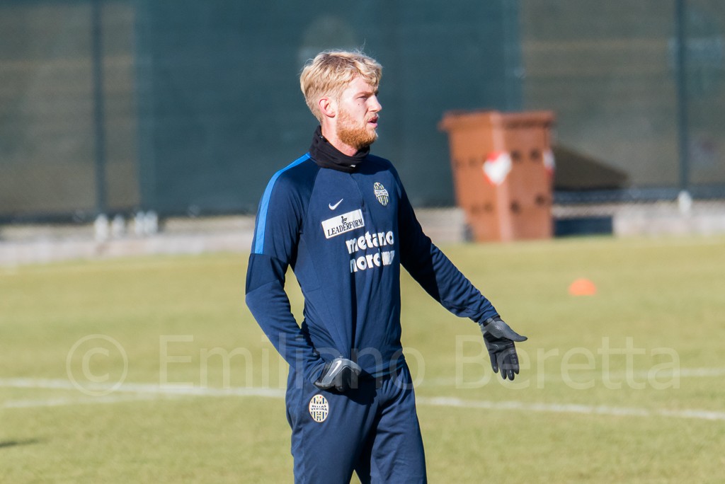 helander3