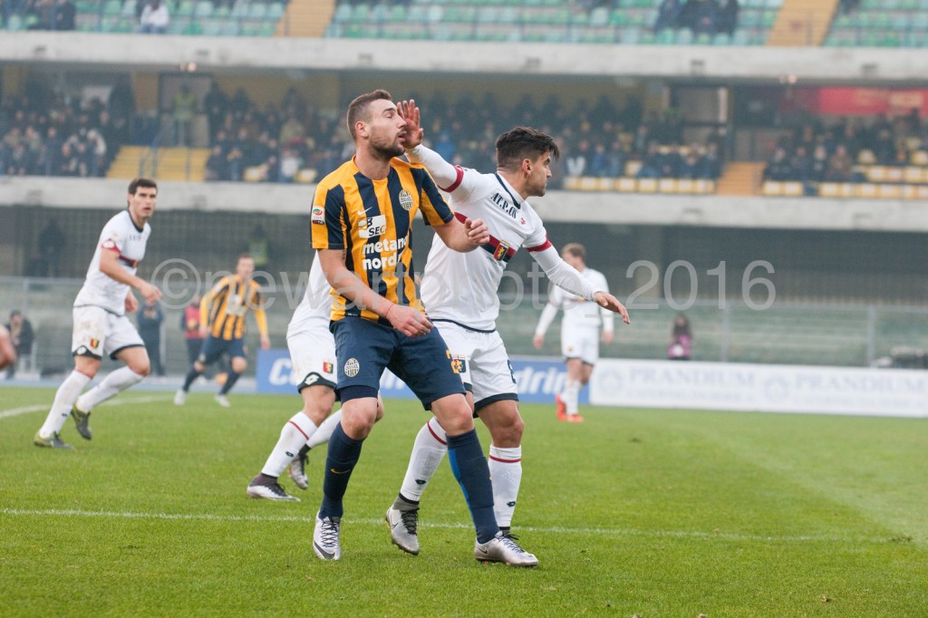 ionita7