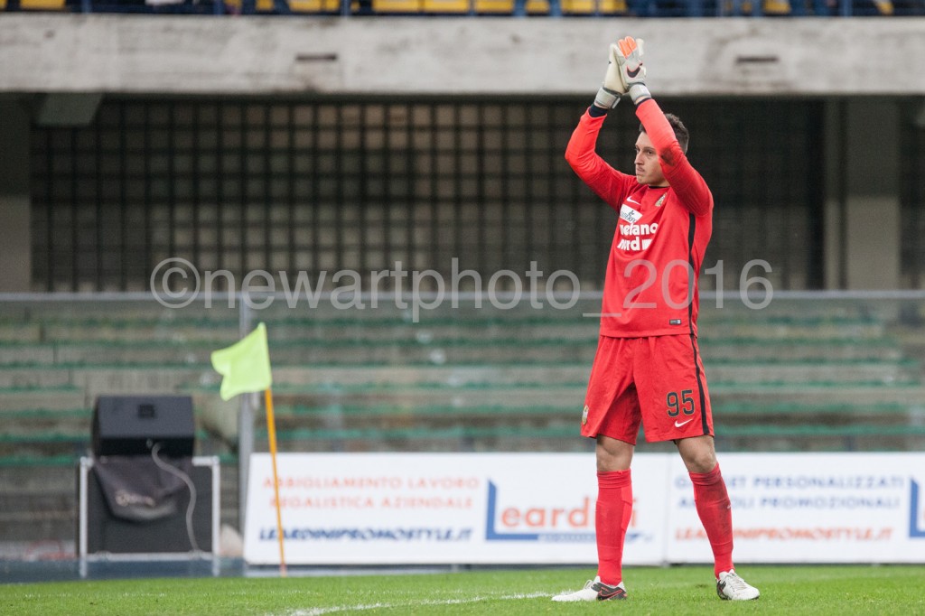gollini (3)