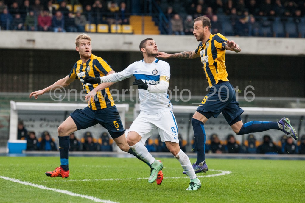 helander moras