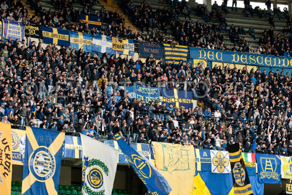 curva (2)