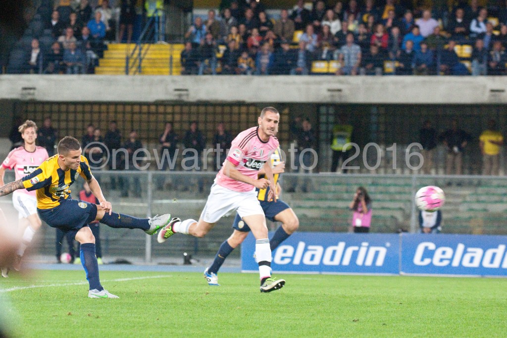 viviani gol