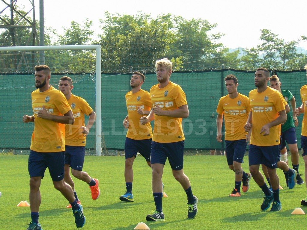 helander