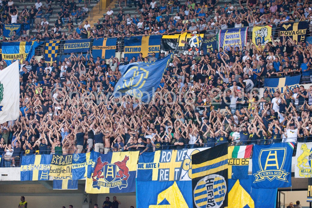 curva (1)