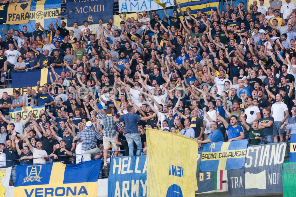 curva (3)