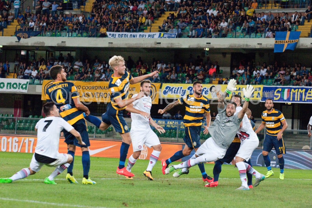 helander