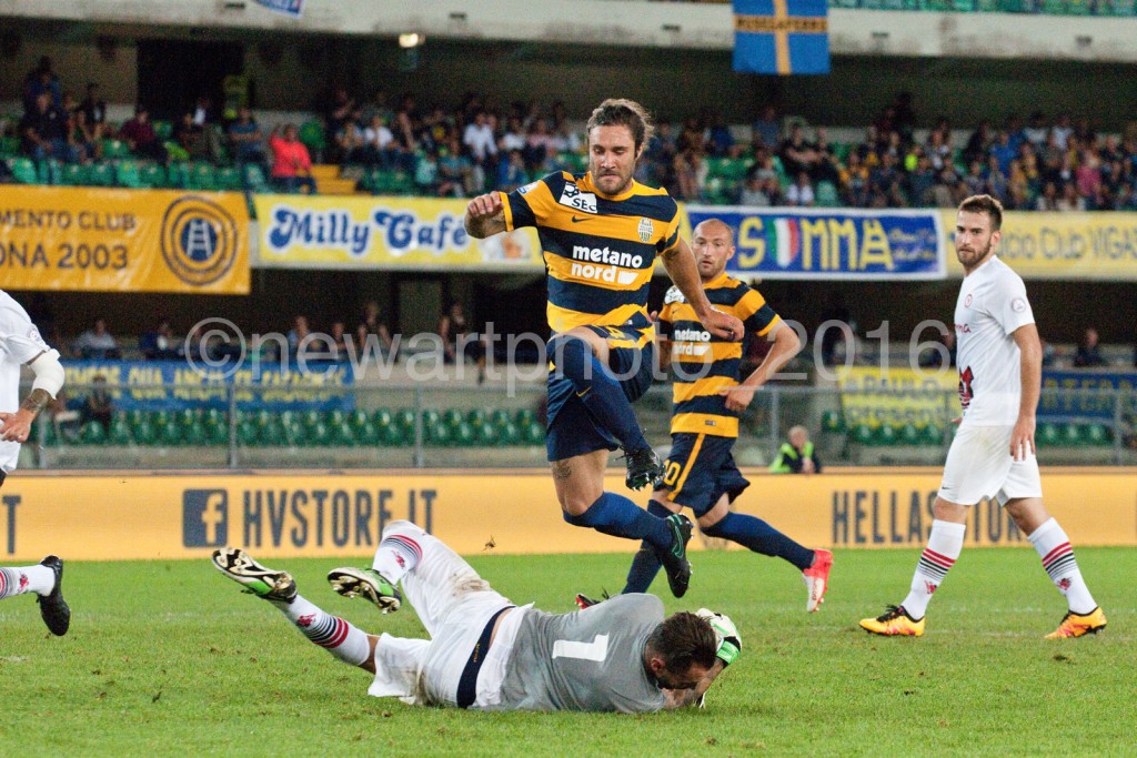 zuculini (2)