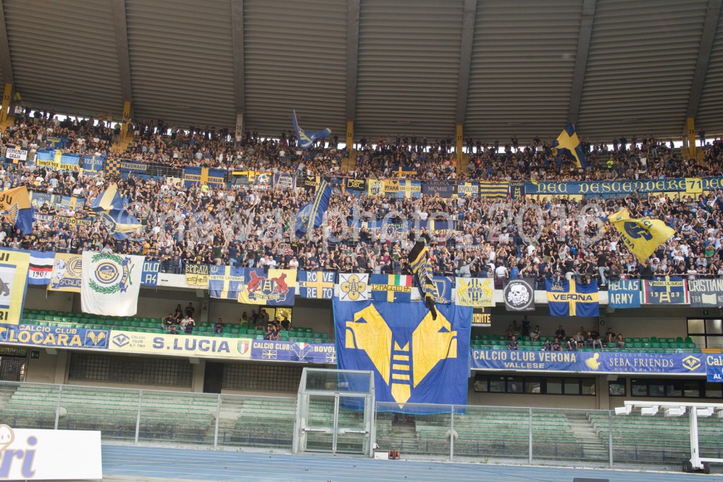 CURVA (3)