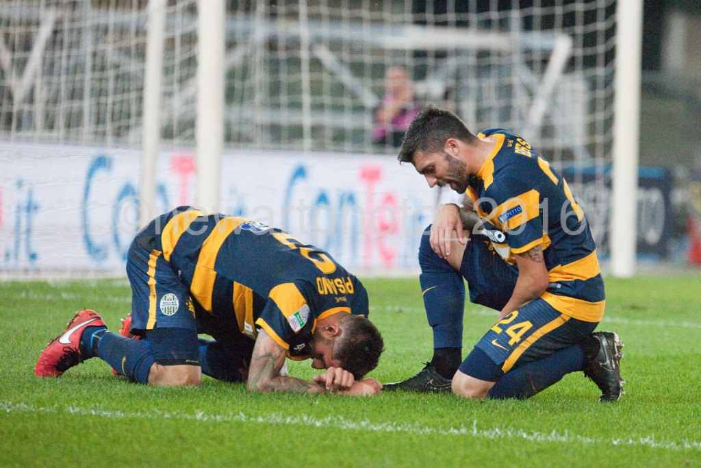 PISANO (4)