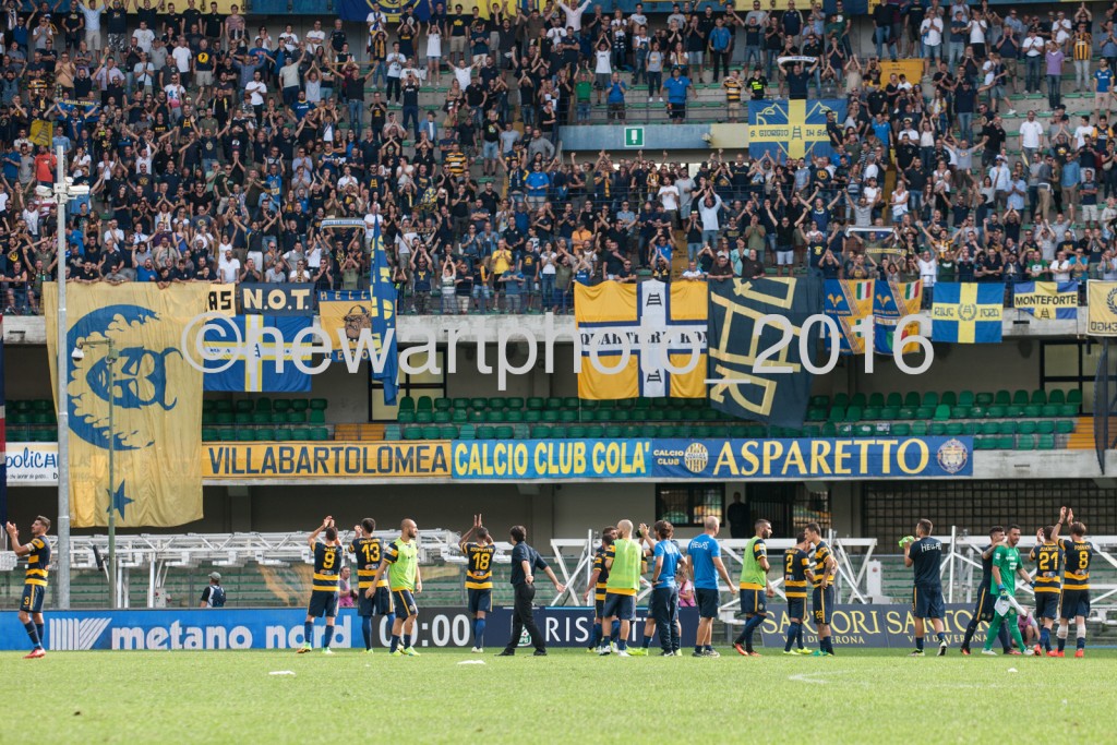 festa finale vr avellino