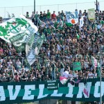 curva avellino