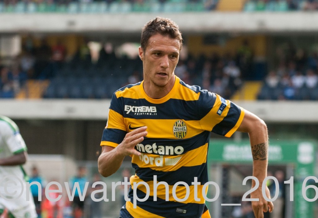 siligardi (3)