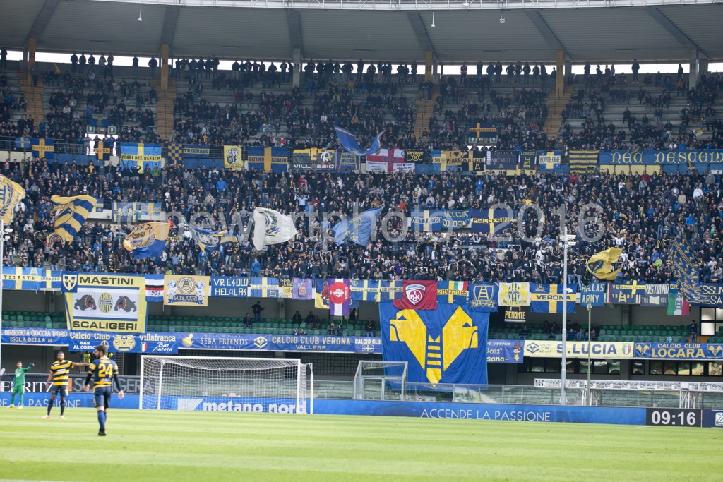 curva (2)