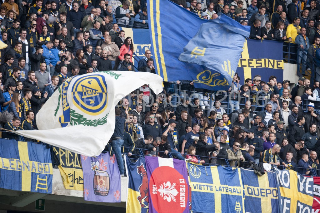 curva (4)