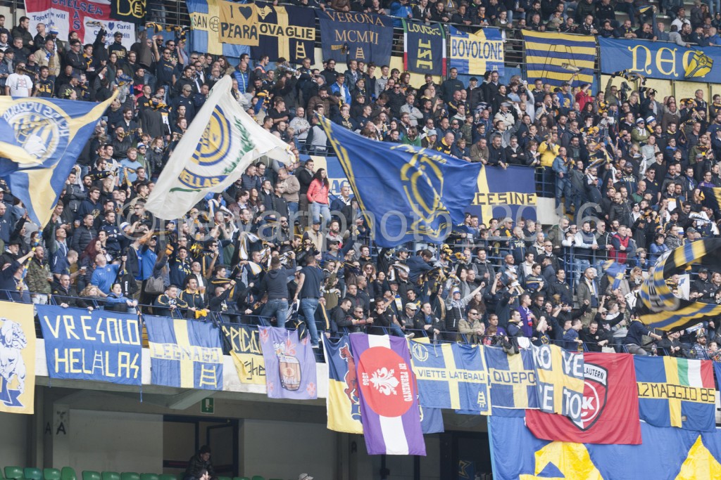 curva (5)