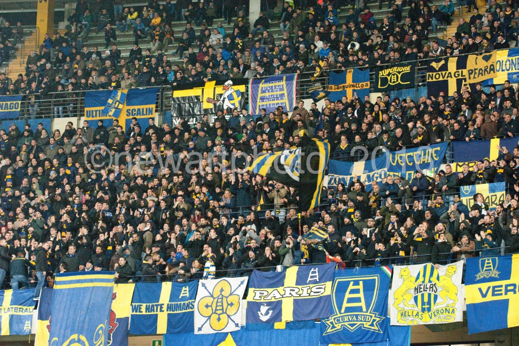 curva (1)