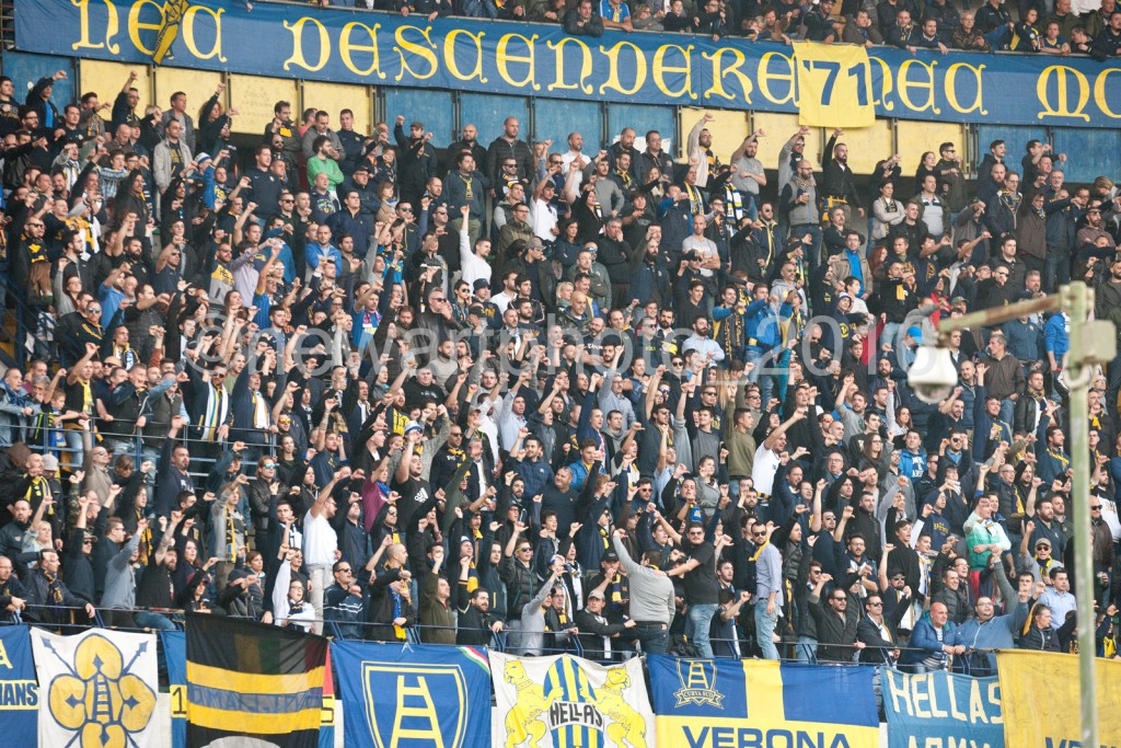 curva (3)