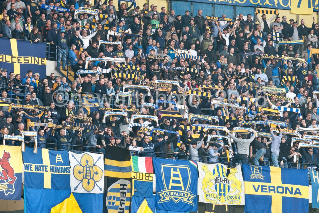 curva (5)