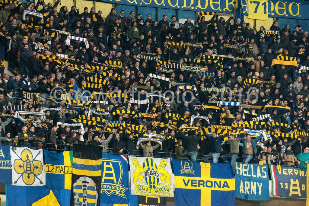 curva (5)