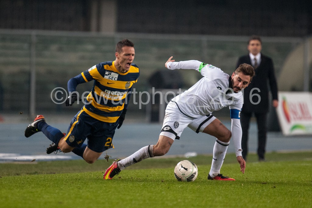 siligardi (3)