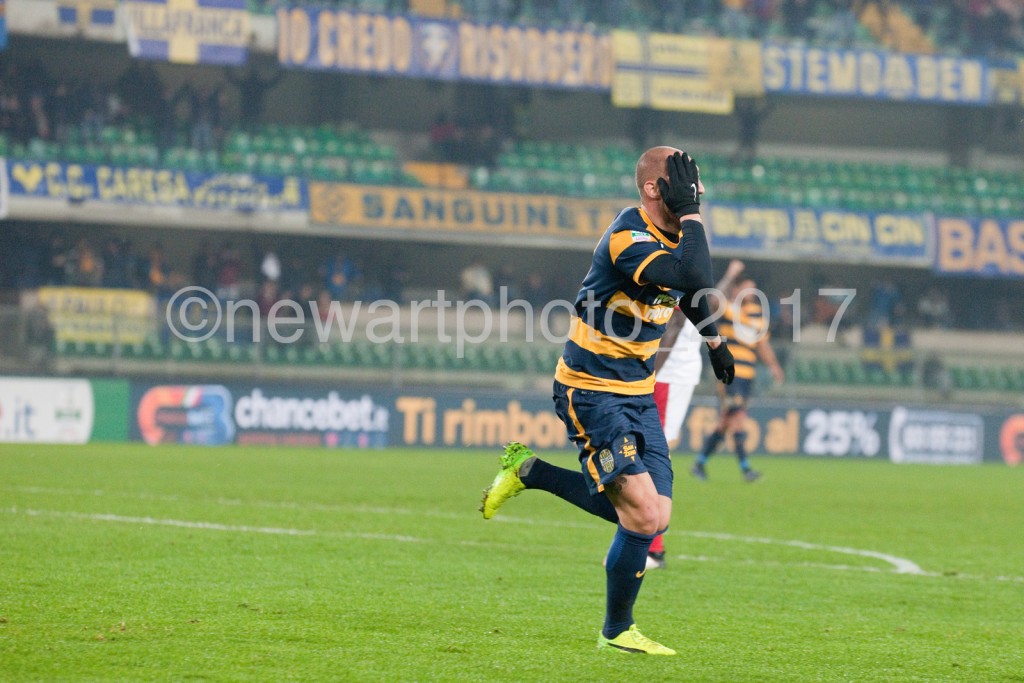 Luppi (3)