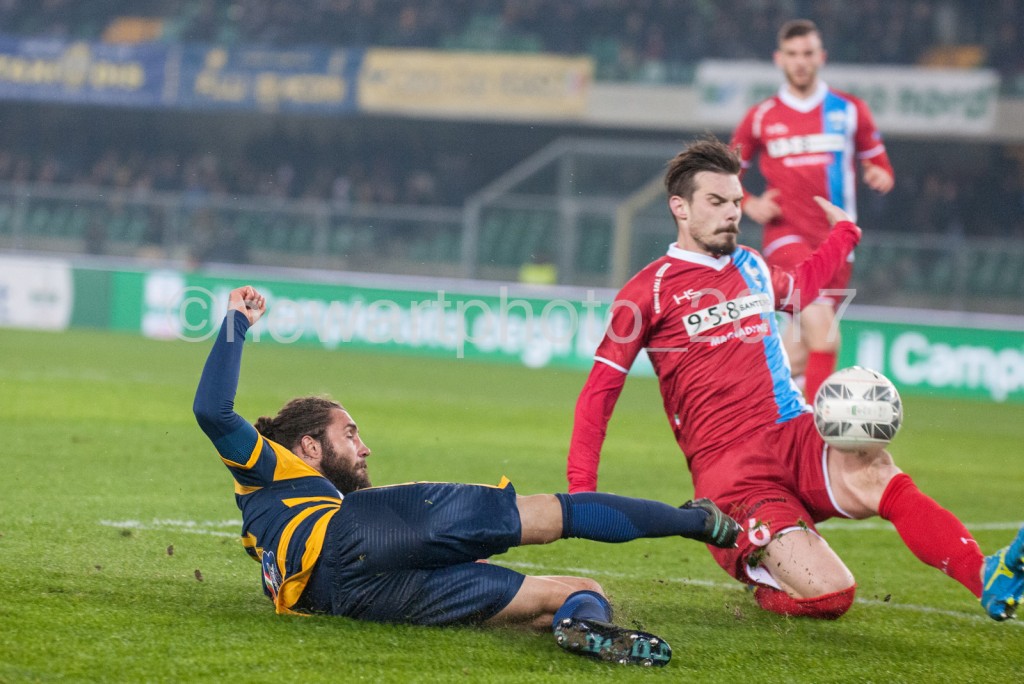 zuculini (4)