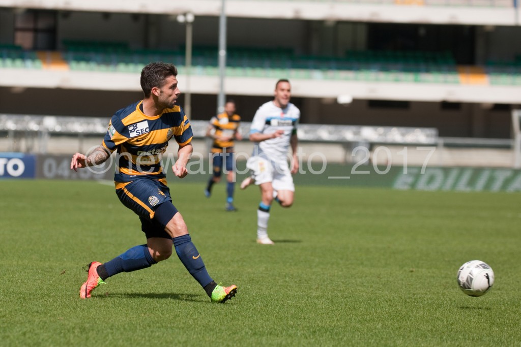 bessa (1)