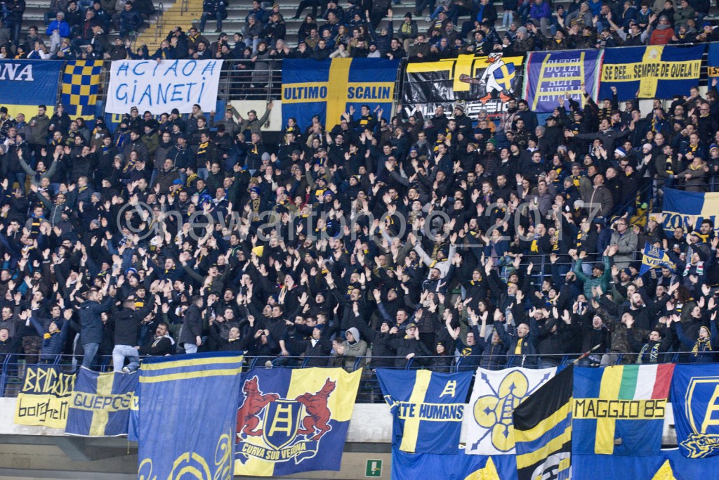 curva (3)