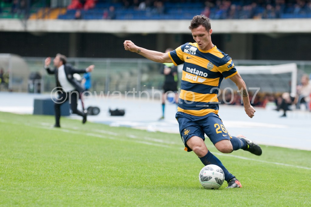 siligardi (5)