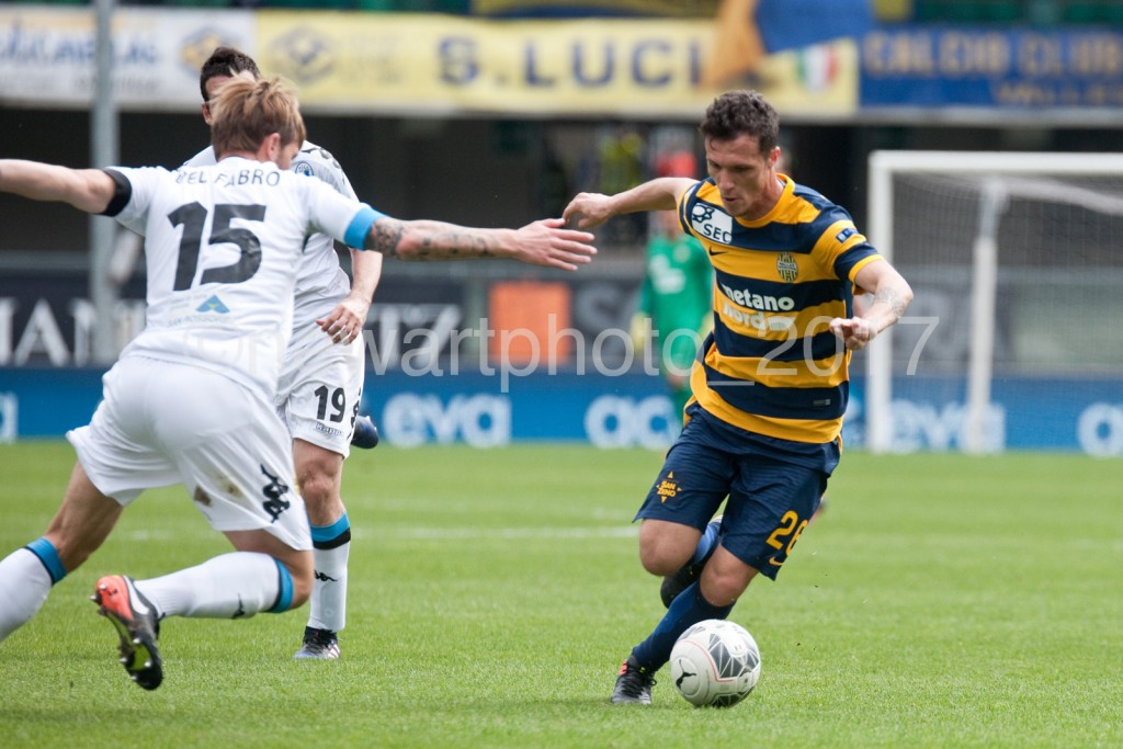 siligardi (6)