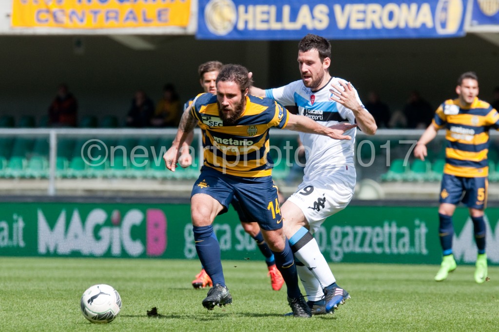 zuculini (1)