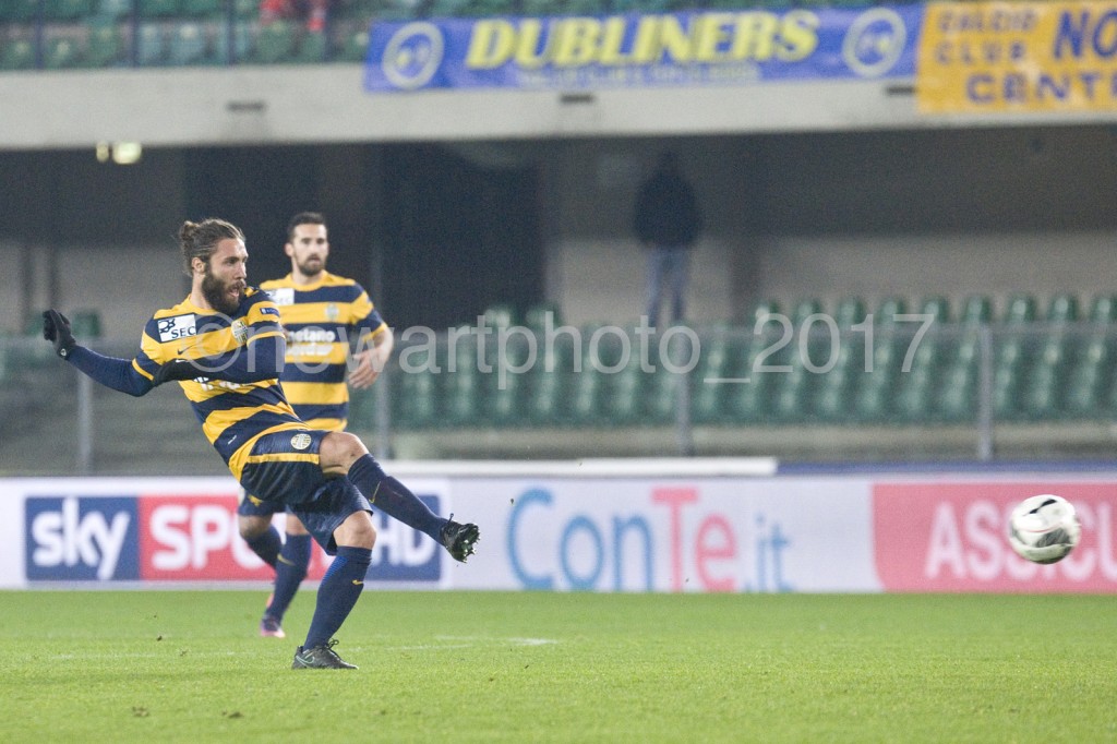 zuculini (3)