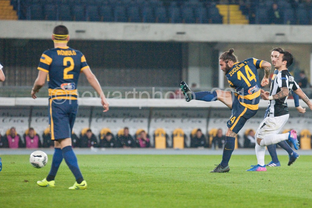 zuculini (4)