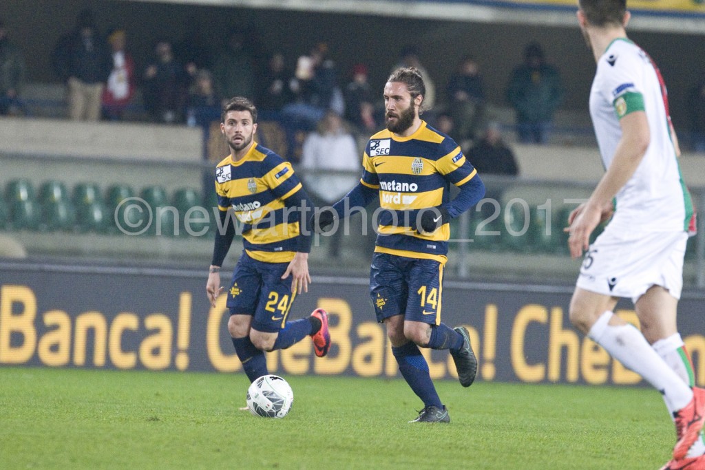 zuculini (4)