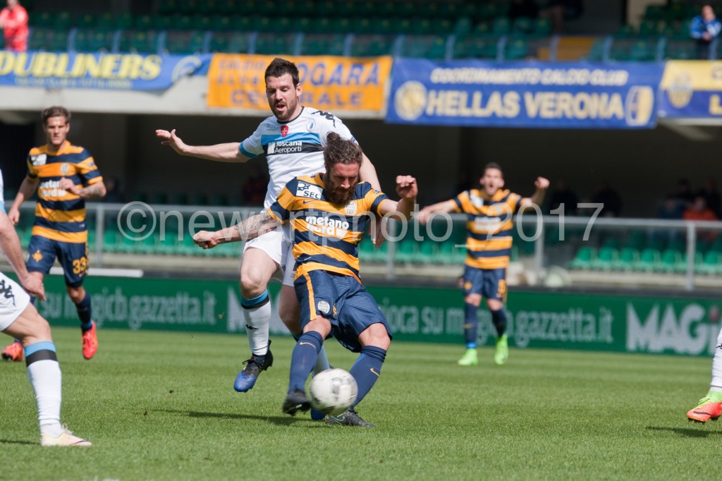 zuculini (6)