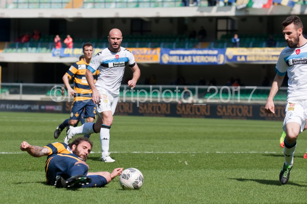 zuculini (9)