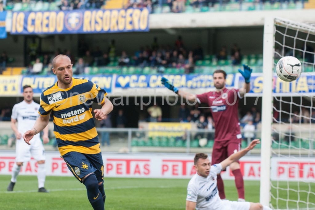 luppi (2)