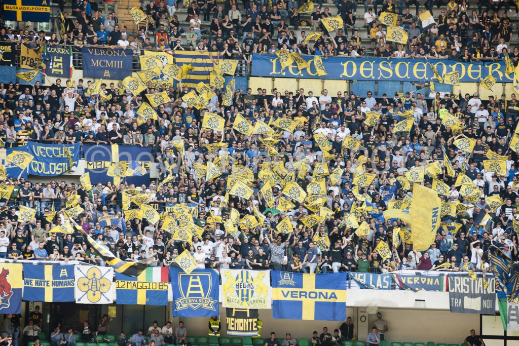 curva (1)