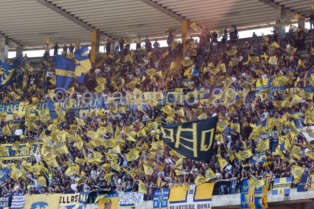 curva (10)