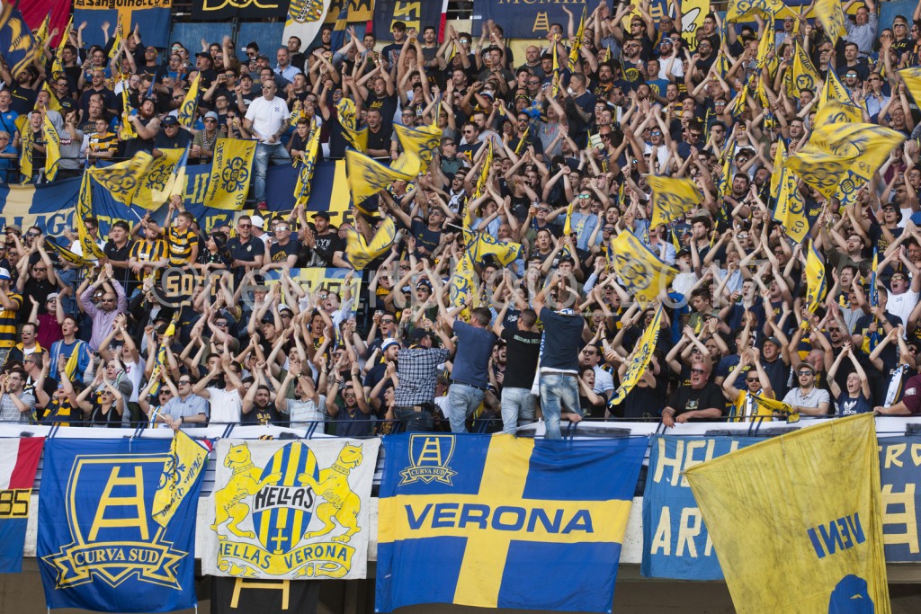 curva (11)