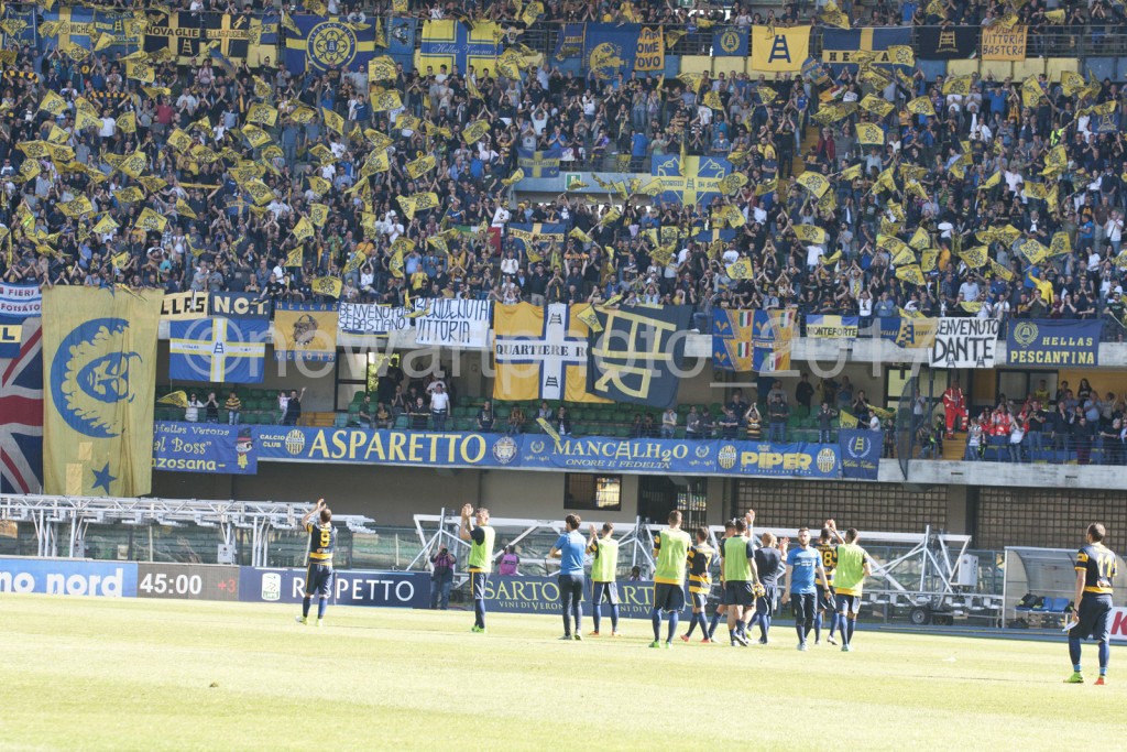 curva (2)