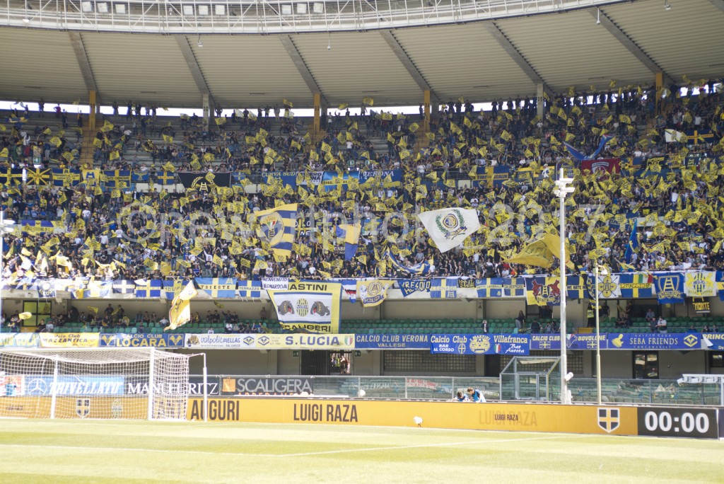 curva (4)