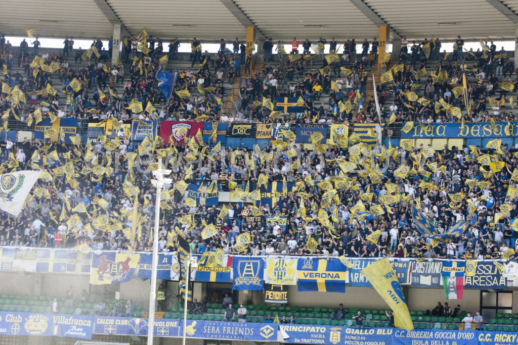curva (6)