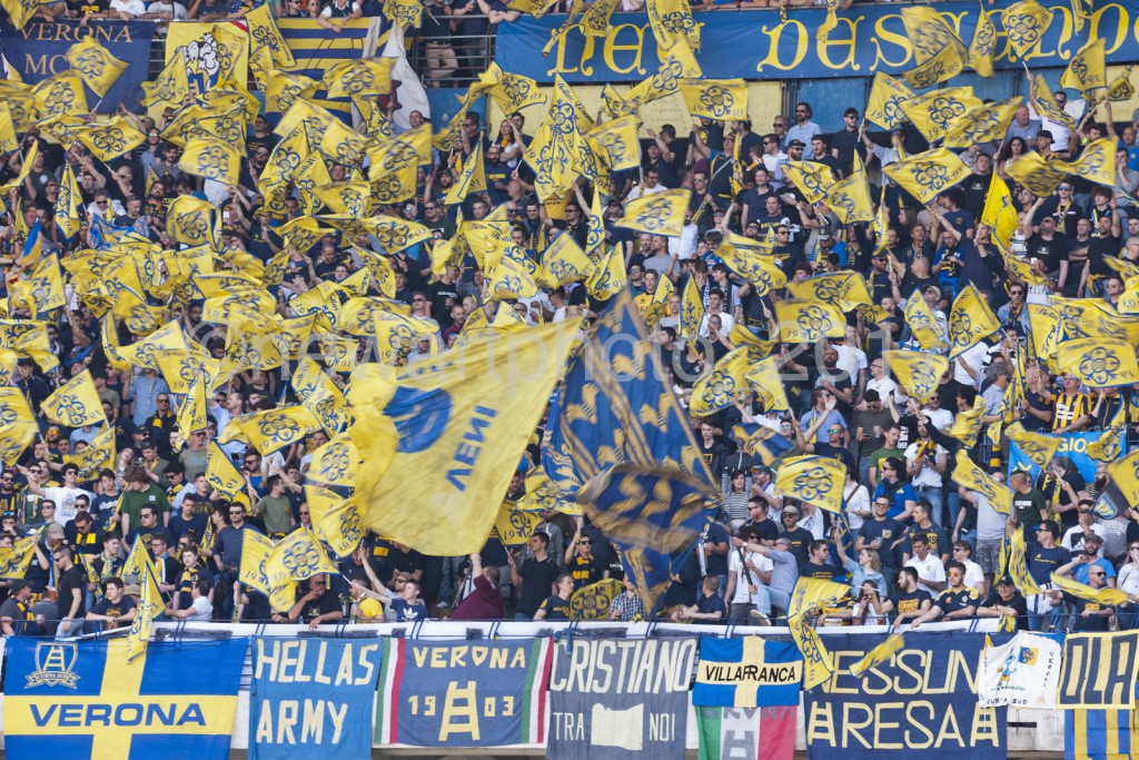 curva (7)